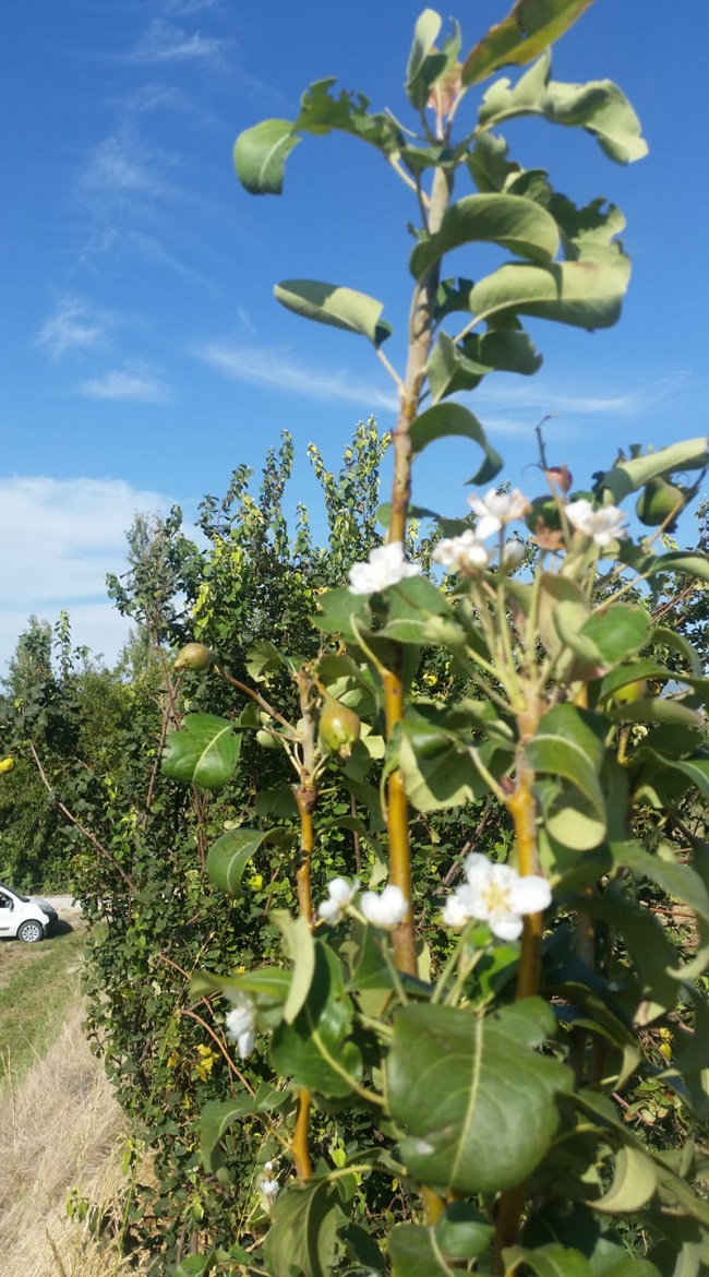 BU GÖRÜNTÜ DENİZLİ’DE ÇEKİLDİ
