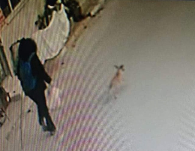 GENÇ KIZ  SIRRA KADEM BASTI!