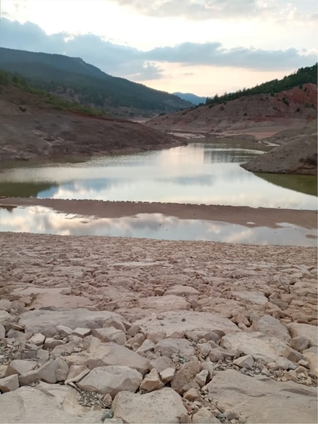 DENİZLİ’DE MAHALLEYİ KORKUTAN OLAY