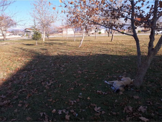 DENİZLİ’DE  GERÇEKLEŞTİ