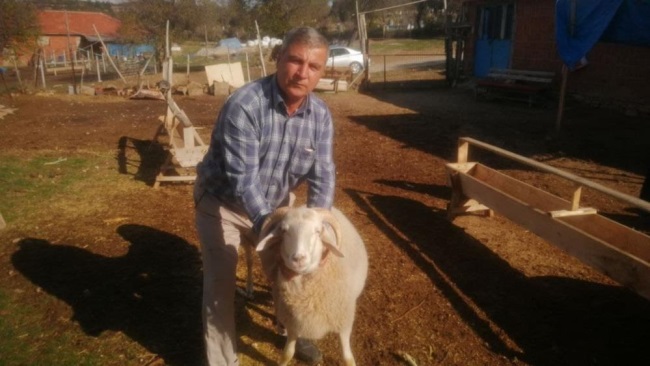 DENİZLİ’DE GÖRENLER ŞAŞKINA DÖNDÜ!