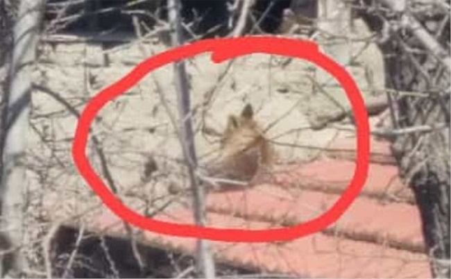  DENİZLİ’DE YÜZ GÜLDÜREN HABER