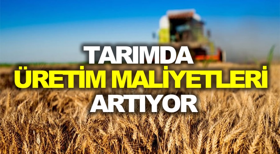 haber resim