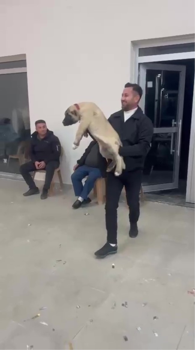 DENİZLİ’DE ALIŞILMADIK TAKI MERASİMİ