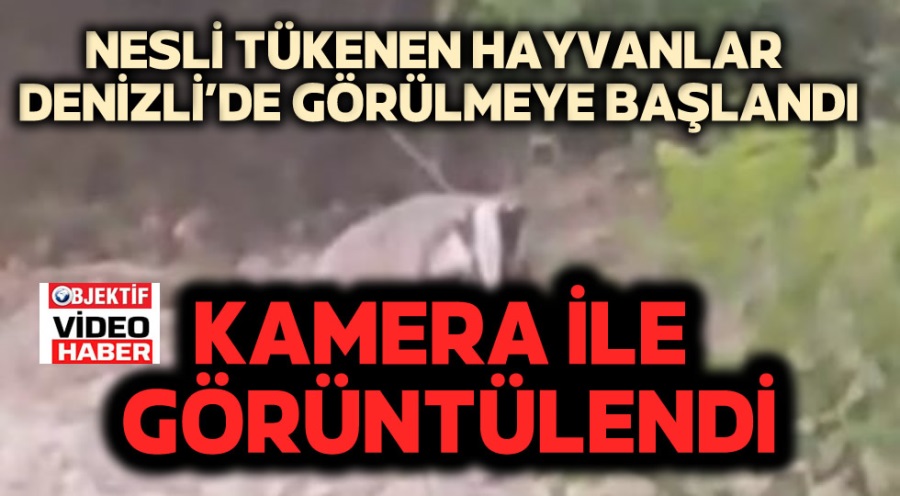 haber resim