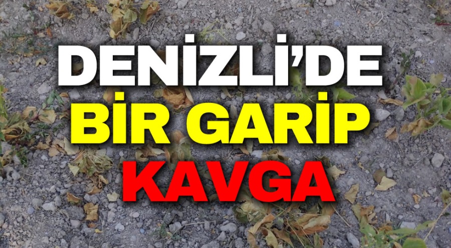 haber resim