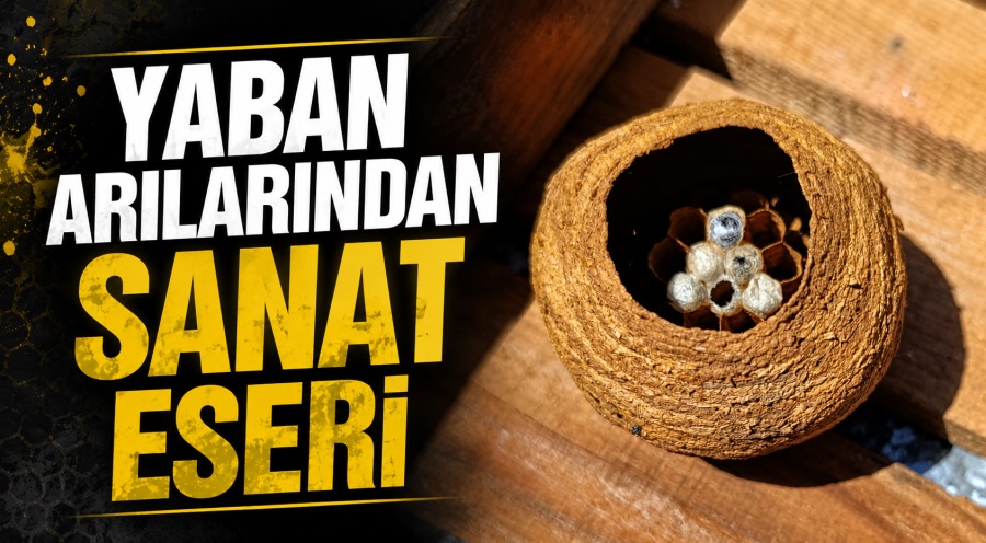 haber resim