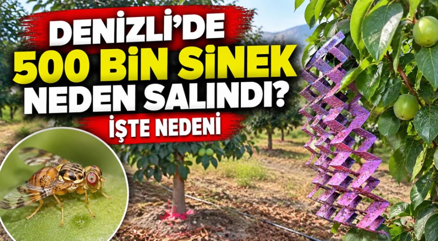 haber resim