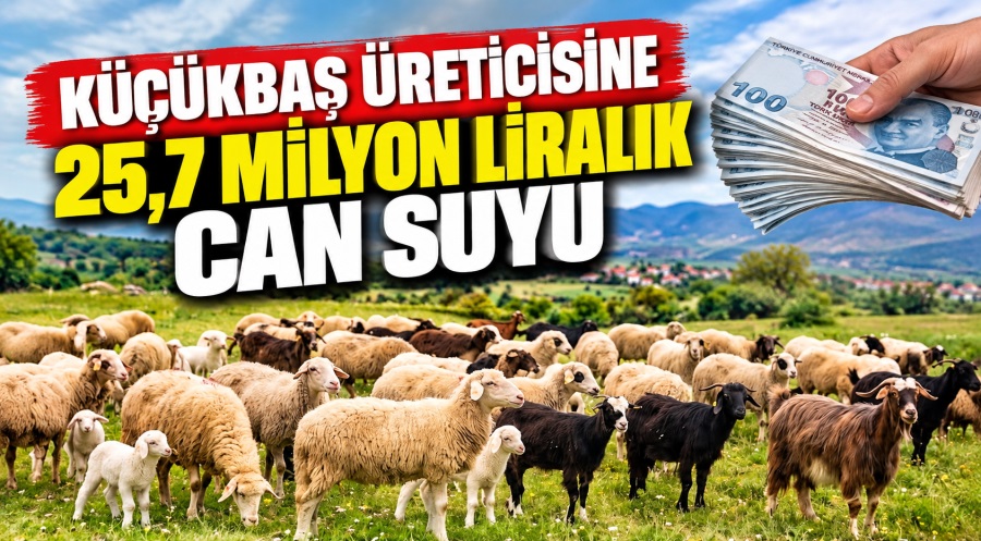 haber resim