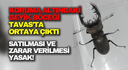 haber resim