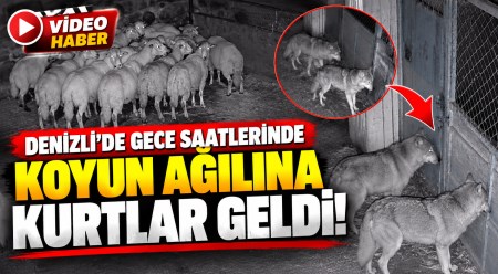 haber resim