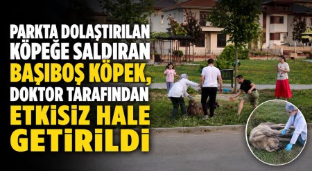 haber resim