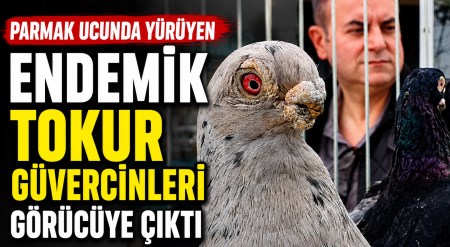 haber resim