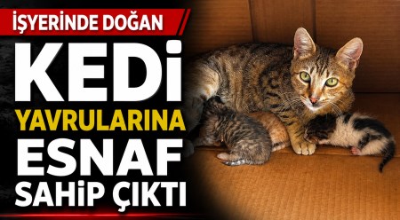 haber resim