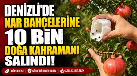 haber resim