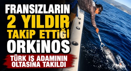 haber resim