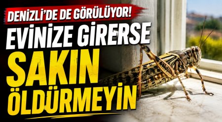 haber resim