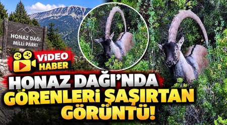 haber resim